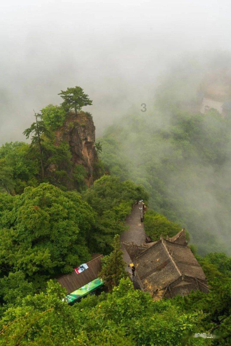 逃出林中村